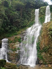 Tranquil waterfall cascading amongst lush, verdant greenery