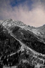 Vertical shot of a stunning landscape with a snow slide caused by an avalanche long ago - obrazy, fototapety, plakaty