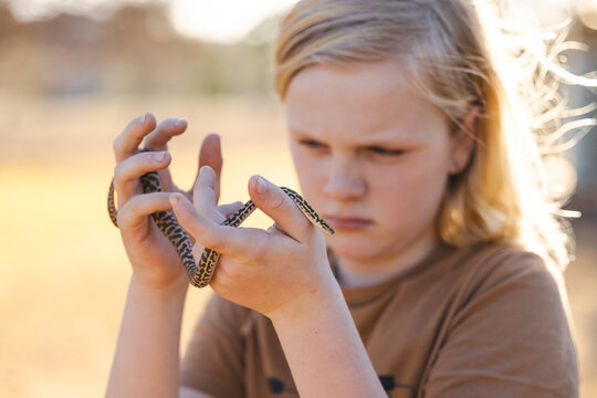 Pre-teen adolescent boy holding pet children's python snake