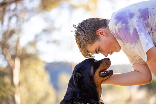 Teen boy showing affection to sitting rottweiler dog