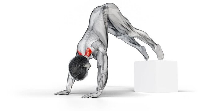 3D animation of a male exercising Pike Push-Up and legs on a box workout