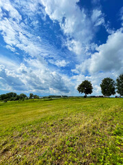 Green field with trees against the sky