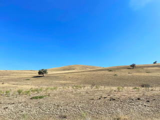 Obraz premium Sandy field on a sunny day