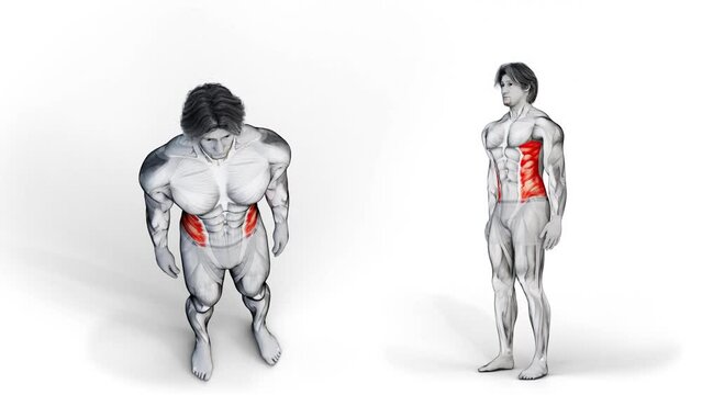 3d illustration of muscular character doing exercise for side abs muscles on isolated background