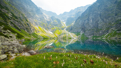 Blake lake and the Morskie Oko lake, or Eye of the Sea, in a valley of polish Tatra Mountains, are...
