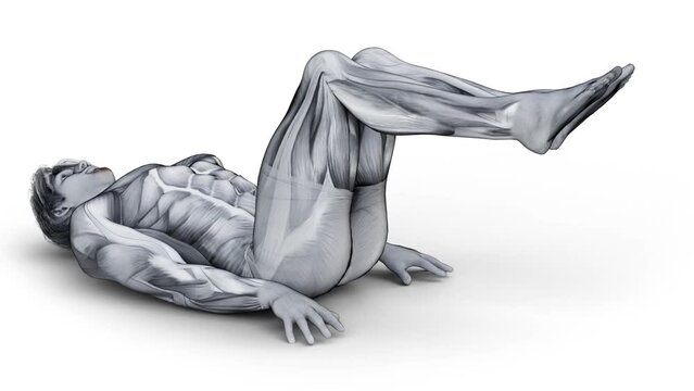 3d illustration of muscular character doing classic fitness exercise