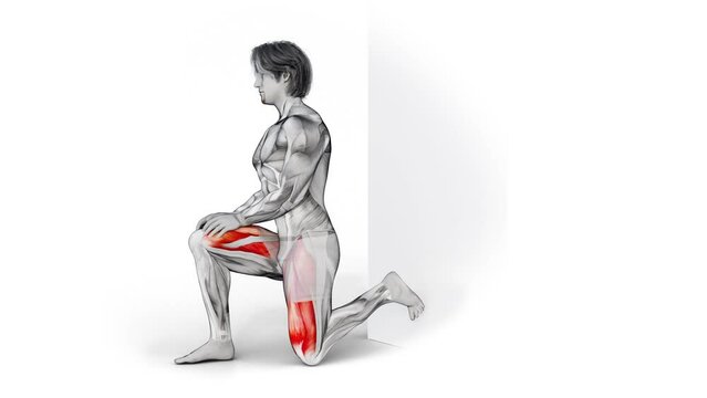 Illustration design of a male figure in kneeling iliopsoas stretch highlighting muscles