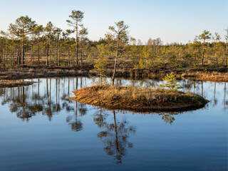 Nice landscape with evening and sunset over the bog lake, crystal clear lake and peat island in the...