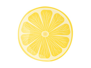 Vector illustration of fresh slice yellow lemon . Image on white background with shadow.