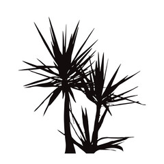 Silhouette of yucca plant on white background. Symbol of garden and nature.