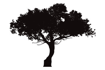 Silhouette of tree on white background. Symbol of nature and plant.