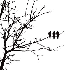 Silhouette of a birds sitting on a branch on a white background. Symbol of wild animals and nature.