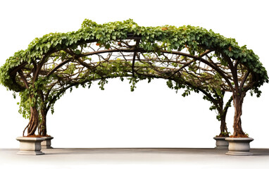 Circular Park Pergola with Vines Isolated on Transparent Background PNG.