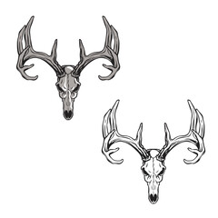 deer skull vector illustrations. drawing with line-art on white backgrounds. Simple Design Outline Style. You can give color you like