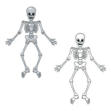 skeleton vector illustrations. drawing with line-art on white backgrounds. Simple Design Outline Style. You can give color you like.