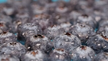 Sweet Vibrant Blueberry Bliss in Captivating Close-up