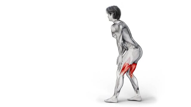Muscular man character training Hamstrings Stretch workout - 3d render