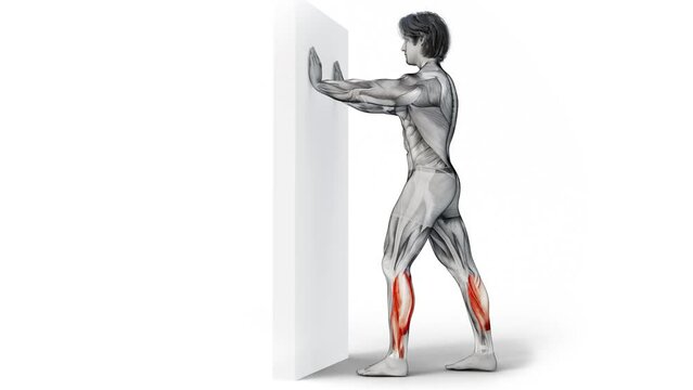 3d render of muscular man figure character training Calves Stretch workout against a wall