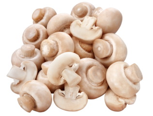 composição com cogumelos crus isolado em fundo transparente