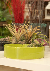 A light green plant pot with different flowers