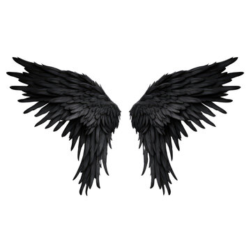 recommend clip art: Realistic angel demon black wings on white background
