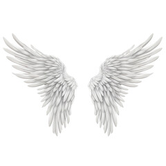 Realistic angel white wings on white background