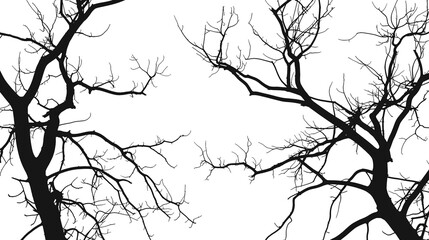 Silhouette bare trees branches isolated on transparent or white background, png