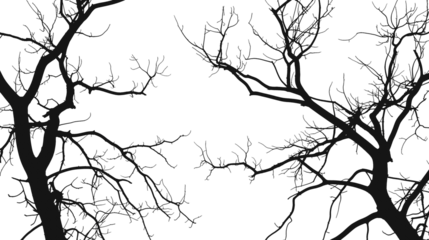 Silhouette bare trees branches isolated on transparent or white background, png