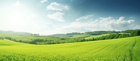 Beautiful natural landscape panorama of green field of cut grass with blue sky with clouds on the...