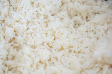 cooked white rice background
