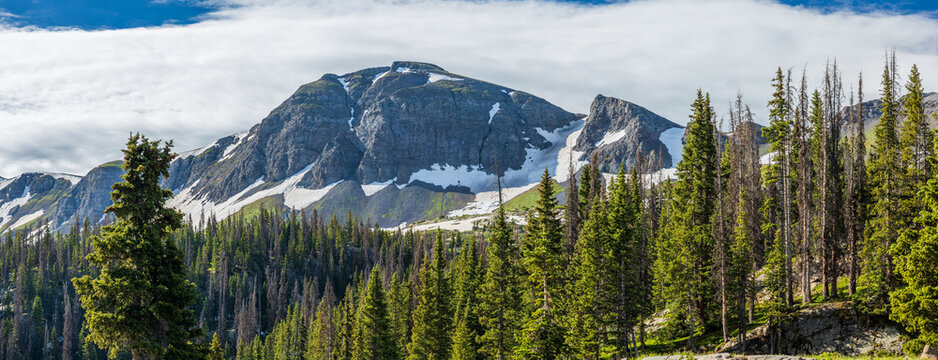 morning mountain cliffs with evergreen forest