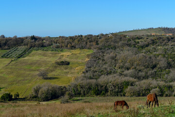 Paysage rural en Italie
