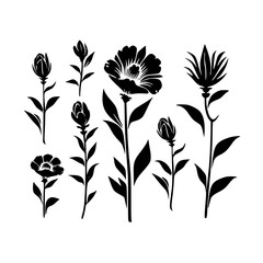  leaf vector, herb silhouette, silhouette plant, silhouette flower, silhouette floral, plantpot, leaf, tree, plant, nature, vector, bamboo, pattern, branch, silhouette, floral, flower, design, illustr