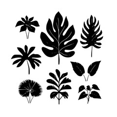  leaf vector, herb silhouette, silhouette plant, silhouette flower, silhouette floral, plantpot, leaf, tree, plant, nature, vector, bamboo, pattern, branch, silhouette, floral, flower, design, 