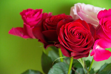 薔薇の花束
