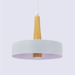 Modern pendant lamp isolated on the white background