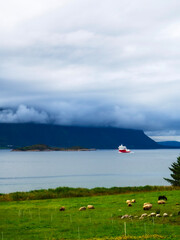 Portrait view of a ship sailing along a Norwegian fjord with cloud covered hills in the background