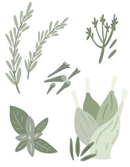 Green condiments basil fennel rosemary flat design set
