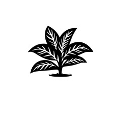  leaf vector, herb silhouette, silhouette plant, silhouette flower, silhouette floral, plantpot, leaf, tree, plant, nature, vector, bamboo, pattern, branch, silhouette, floral, flower, design, illustr