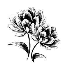 Leaf vector, herb silhouette, silhouette plant, silhouette flower, silhouette floral, silhouette plant, plantpot, leaf, tree, plant, nature, vector, bamboo, pattern, branch, silhouette, floral, flower