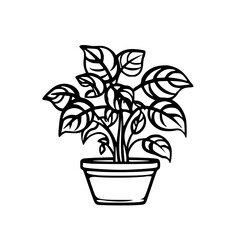 Leaf vector, herb silhouette, silhouette plant, silhouette flower, silhouette floral, silhouette plant, plantpot, leaf, tree, plant, nature, vector, bamboo, pattern, branch, silhouette, floral, flower
