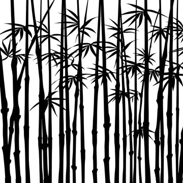 Silhouette bamboo forest full body black color only