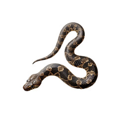 Snake Isolated on Transparent Background. Generated Ai