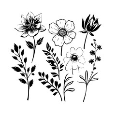 Leaf vector, herb silhouette, silhouette plant, silhouette flower, silhouette floral, silhouette plant, plantpot, leaf, tree, plant, nature, vector, bamboo, pattern, branch, silhouette, floral, flower