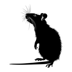 Silhouette rat black color only full body 