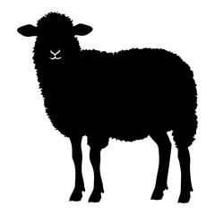 Obraz premium Silhouette sheep black color only 