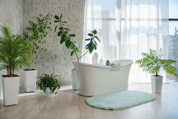 Modern spacious bathroom with tropical decor and sunlit window. Front view of lovely bathroom with...