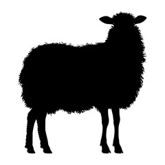 Obraz premium Silhouette sheep black color only 