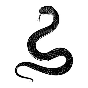recommend clip art: Silhouette snake black color only full body 