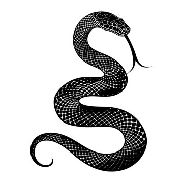 recommend clip art: Silhouette snake black color only full body 